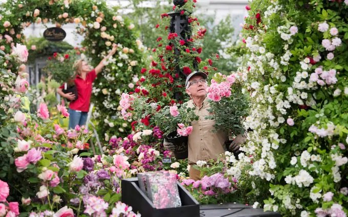 When is the Chelsea Flower Show 2024?